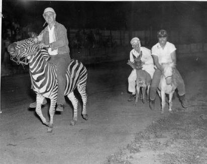 Picture File S_31.jpg